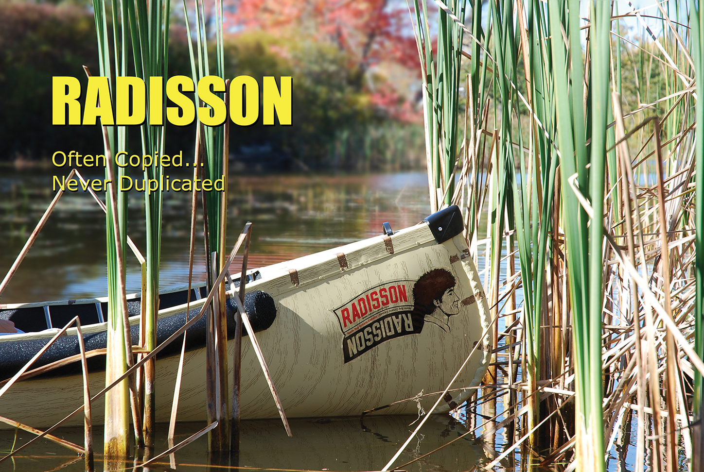 A birch bark colored Radisson canoe, floating in the water among reed grass on a sunny day. Early fall foliage is visible in the background.
