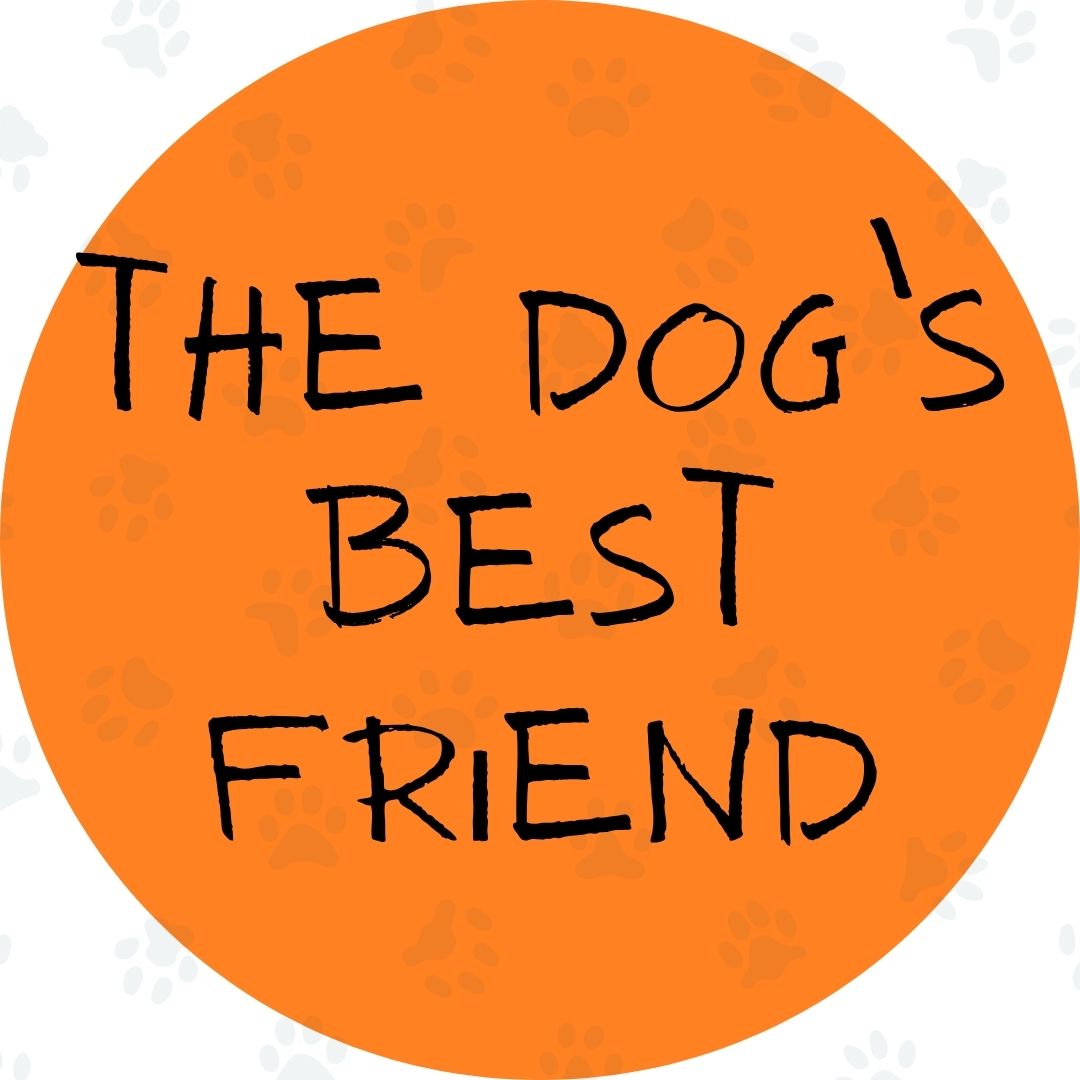 Gifts for the Dog's Best Friend