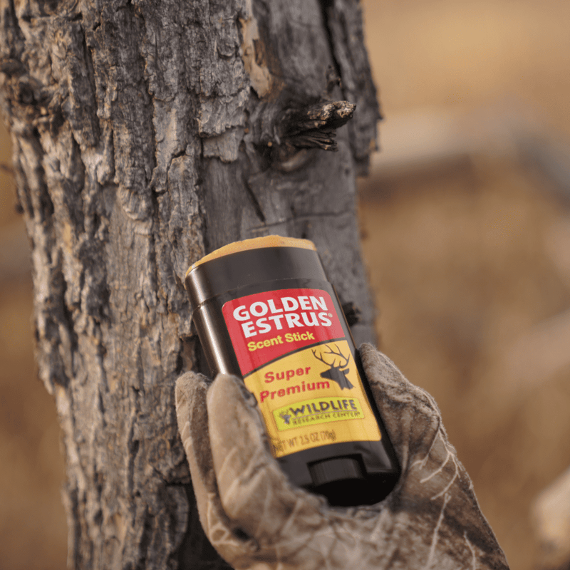 Golden Estrus® Scent Stick