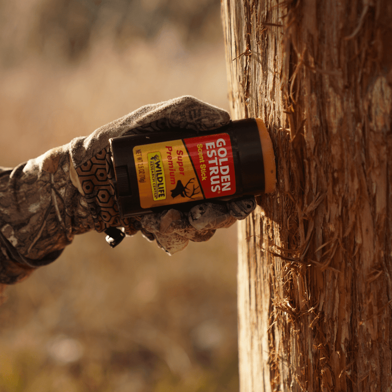 Golden Estrus® Scent Stick