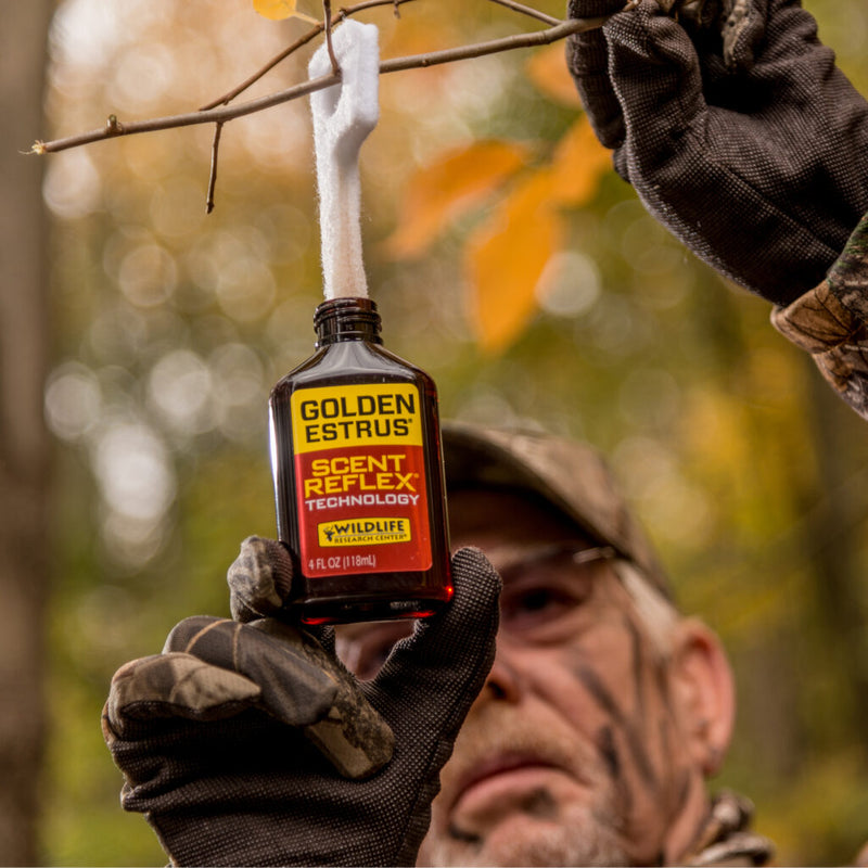 Golden Estrus® with Scent Reflex® Technology