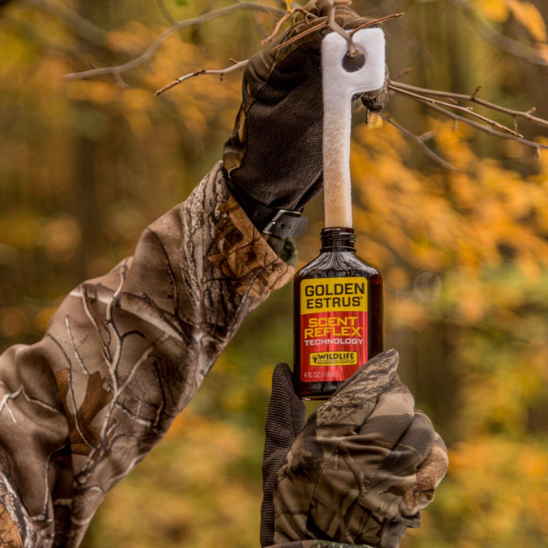 Golden Estrus® with Scent Reflex® Technology