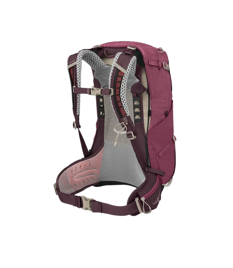 Women's Sirrus 24L Backpack | Purple Tan