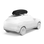 Back view of a black cargo roof rack on top of a white car against a white background. 