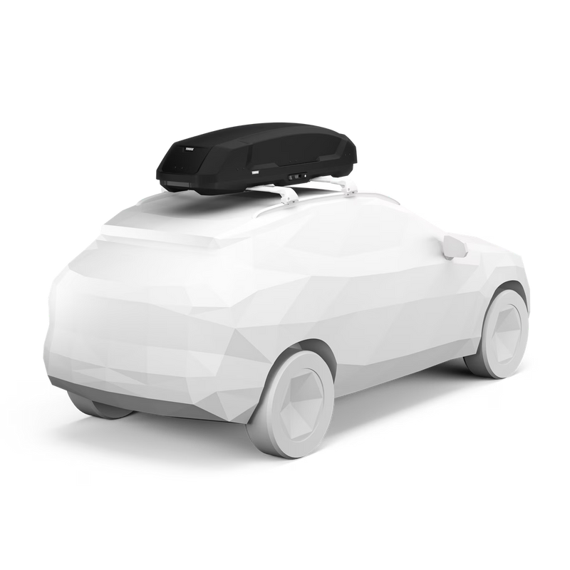 Back view of a black cargo roof rack on top of a white car against a white background. 