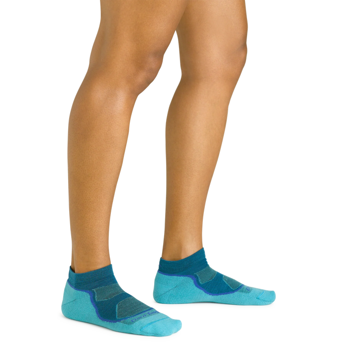 Women's Light Hiker No Show Lightweight Hiking Sock