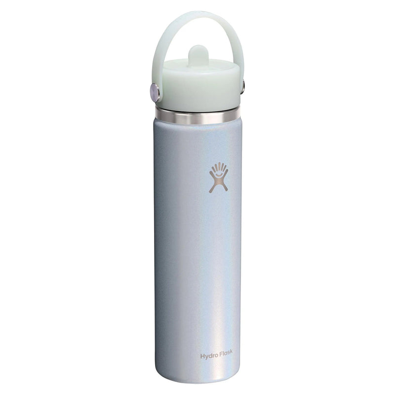 A Hydro Flask insulated water bottle with a metallic silver body, a light mint green lid and carrying loop, and the Hydro Flask logo on the front, set against a plain white background.
