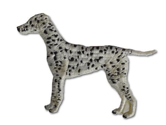 Dalmation Embroidered Iron On Patch