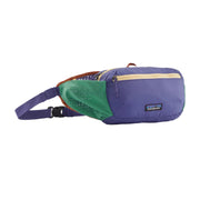 Purple and green waist bag with Patagonia logo on a white background