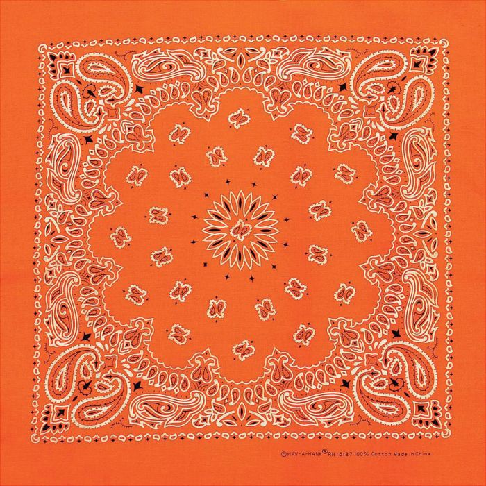 Traditional Paisley Bandana