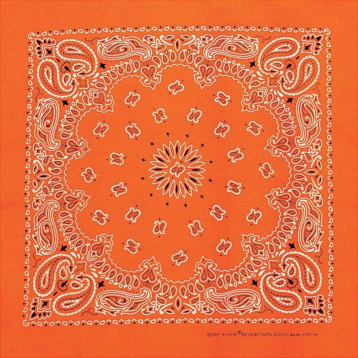 Carolina Creative Traditional Paisley Bandana Red