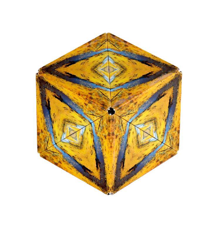 Fun In Motion Toys Shashibo Puzzle Cube