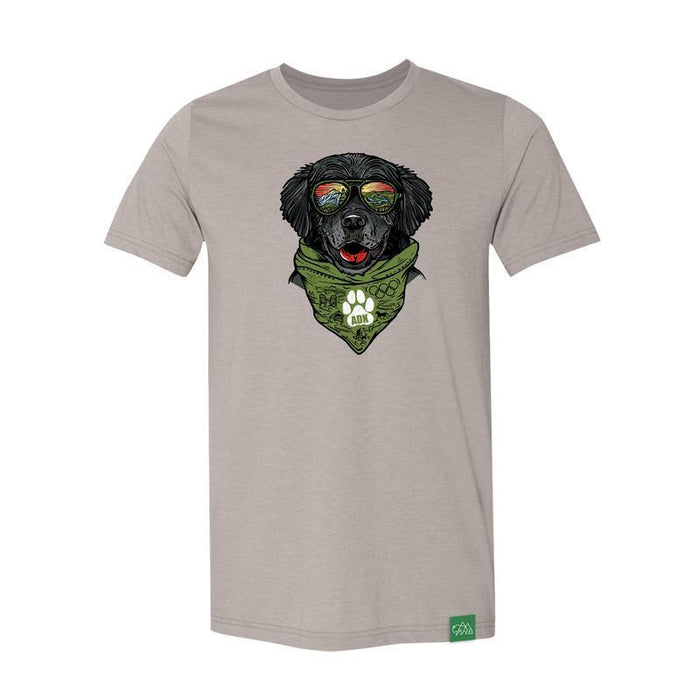 Wild Tribute Mens Parker the Adirondacks Dog Graphic TShirt