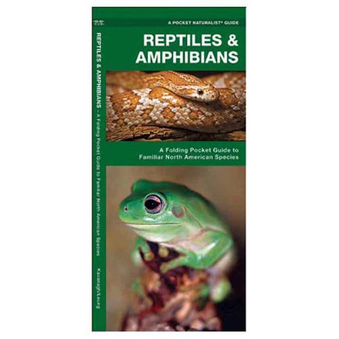 Reptiles and Amphibians Pocket Guide