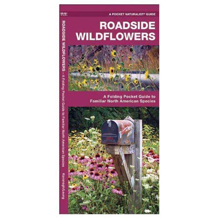 Pocket Guides Roadside WildFlowers