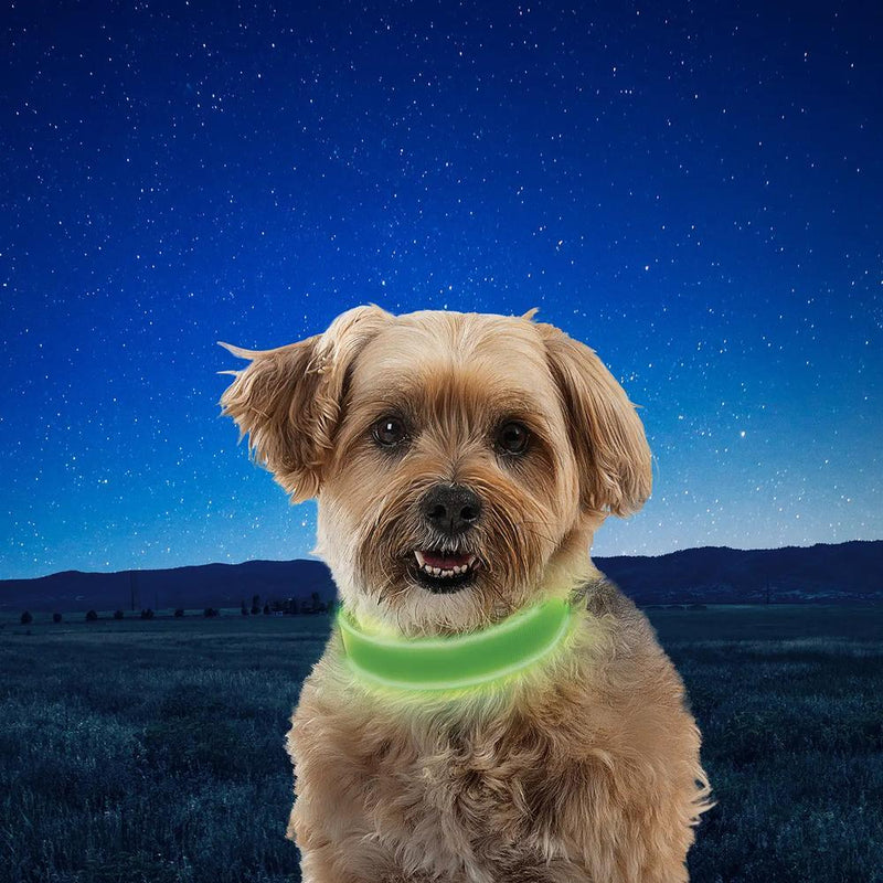 NiteDog Rechargeable LED Collar
