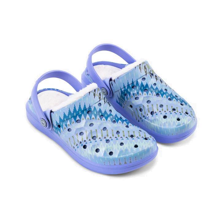 Adult Varsity Lined Graphic Clog