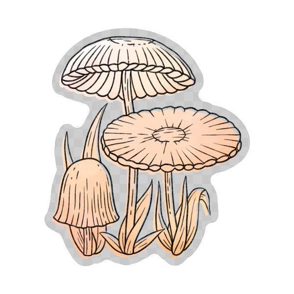 Big Moods Agaricus Plicatilis Sticker