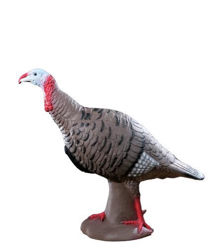 Rinehart Targets Tom Turkey