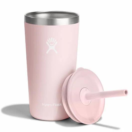 Hydro Flask 20oz All Around Tumbler with Straw Lid