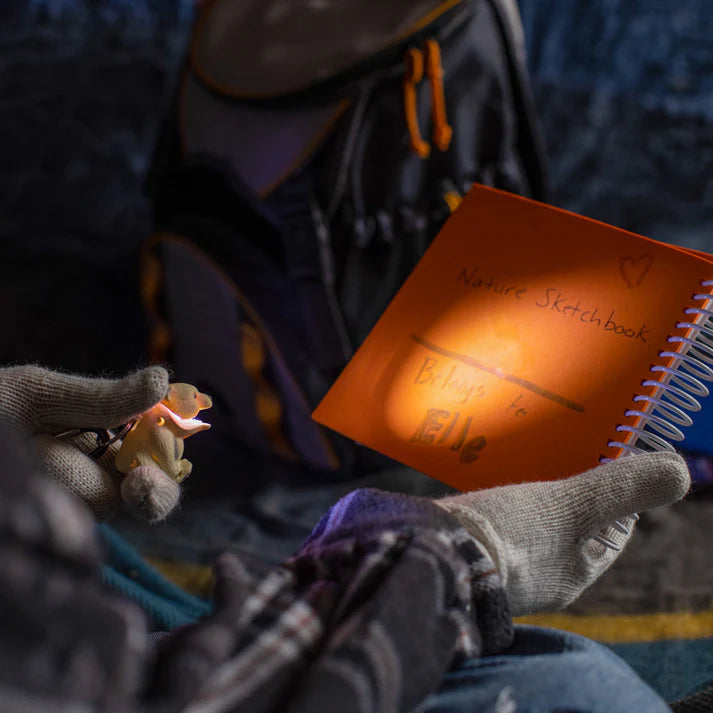Person wearing gloves holding a mini bear shaped flashlight shining it on a nature sketchbook. 