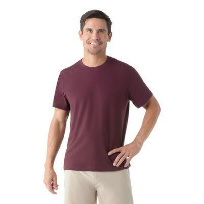 Smartwool Mens Perfect Crew Short Sleeve Tee