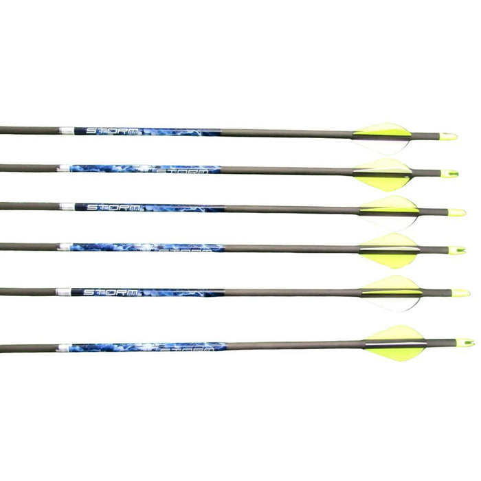 Easton Storm Carbon Arrows 6 Pack