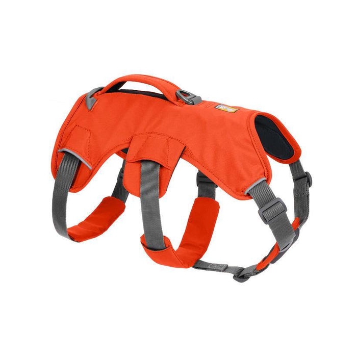 Ruffwear Web Master Dog Harness