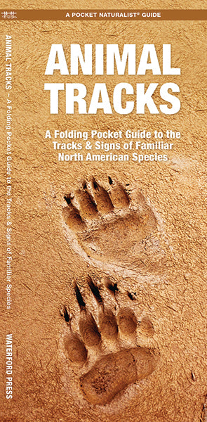 Animal Tracks Guide