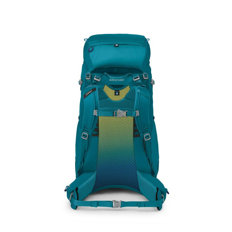 Ace 50 | Blue Spikemoss / Deep Peyto