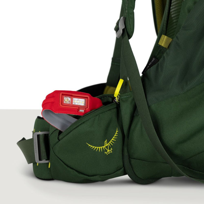 Ace 50 | Green Canopy