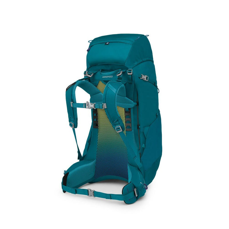 Ace 50 | Blue Spikemoss / Deep Peyto