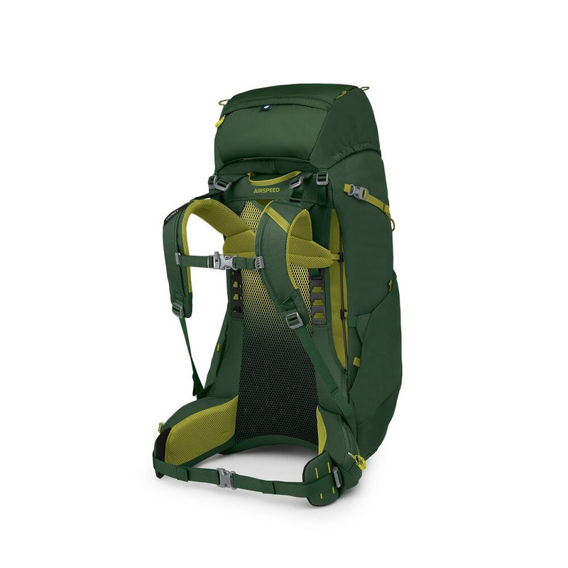 Ace 50 | Green Canopy