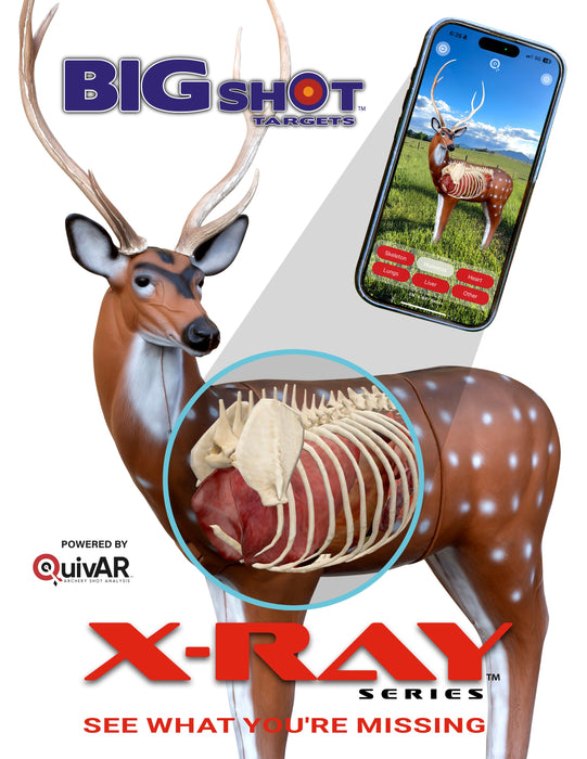 BIGshot Archery X-Ray Series Axis Deer