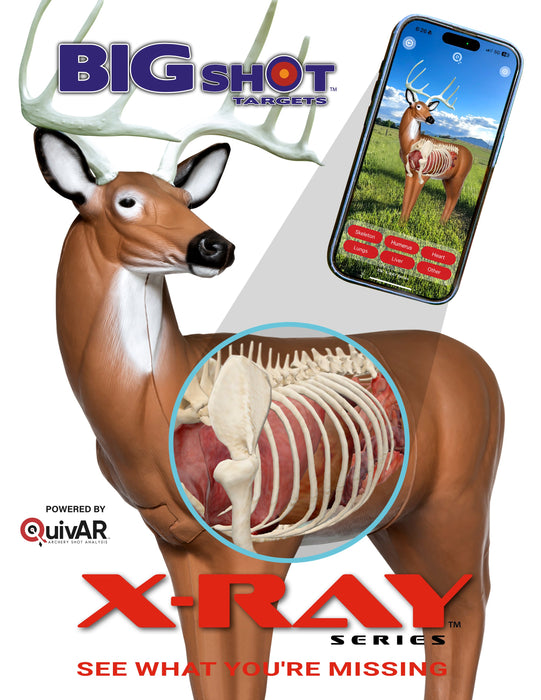 BIGshot Archery X-Ray Series Big Buck