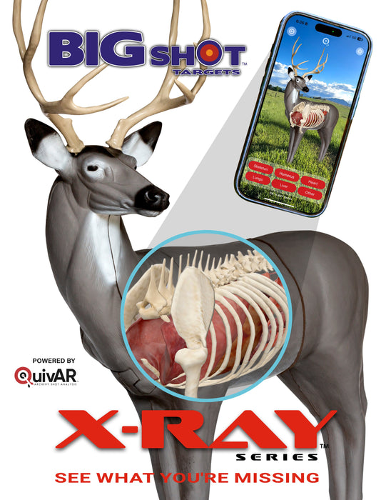 BIGshot Archery X-Ray Series Mule Deer