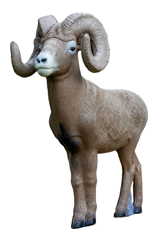 1/2 Scale Bighorn Ram