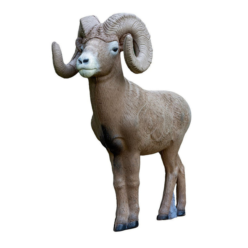 Model of a ram with large curved horns on a white background