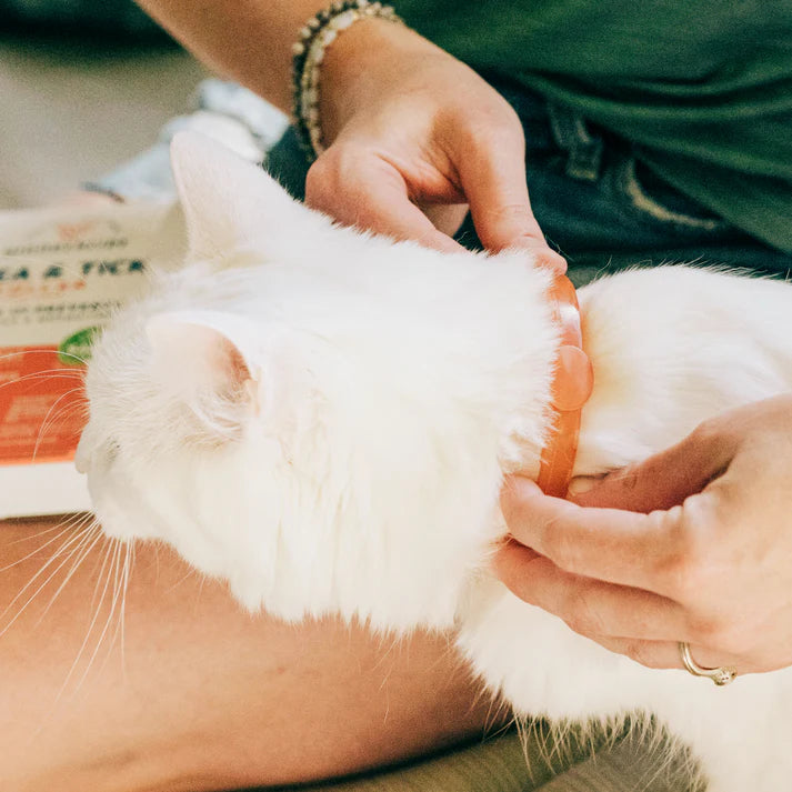 Flea & Tick Collar For Cats | Peppermint