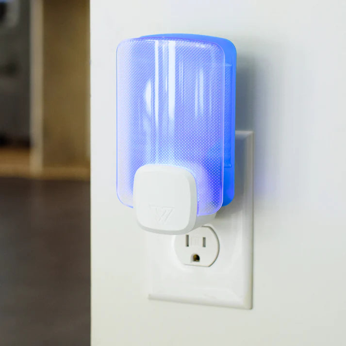 Fly Insect Trap | Blue Clear