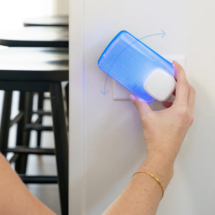 Fly Insect Trap | Blue Clear