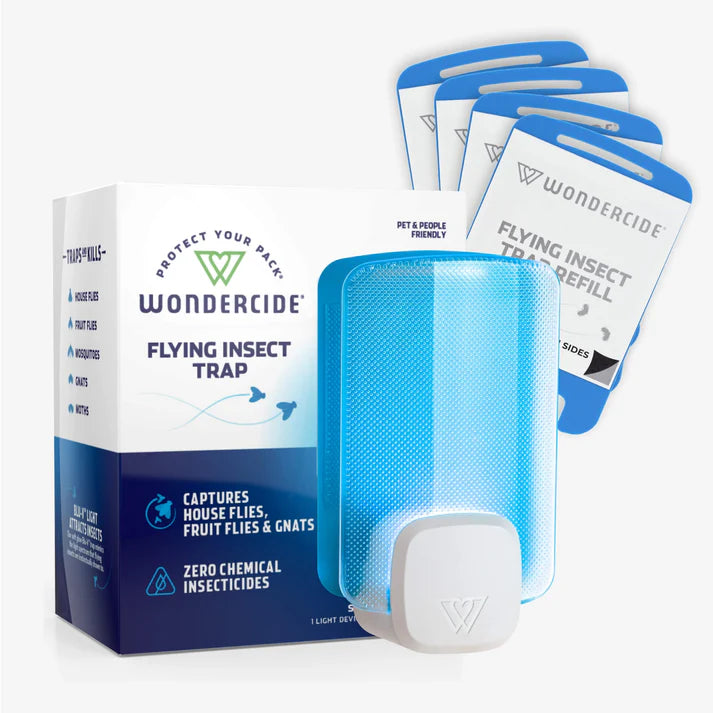 Fly Insect Trap | Blue Clear