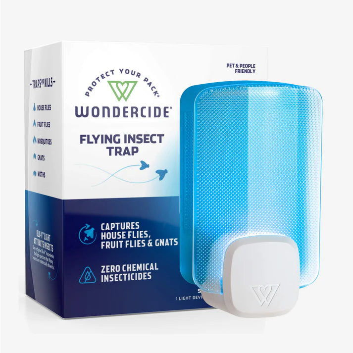 Fly Insect Trap | Blue Clear