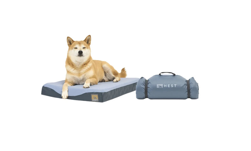 The Foamy Memory Foam Dog Bed