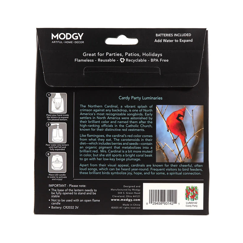 Luminary Lanterns- 4 Per Pack | Cardy Party