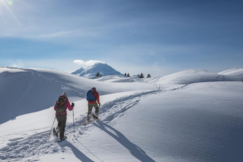 Trailhawk 27 Aluminum Snowshoes | Blue