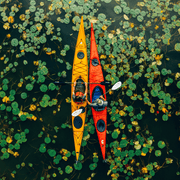 Two people in orange and red kayaks paddling down a swamp full of lily pads.