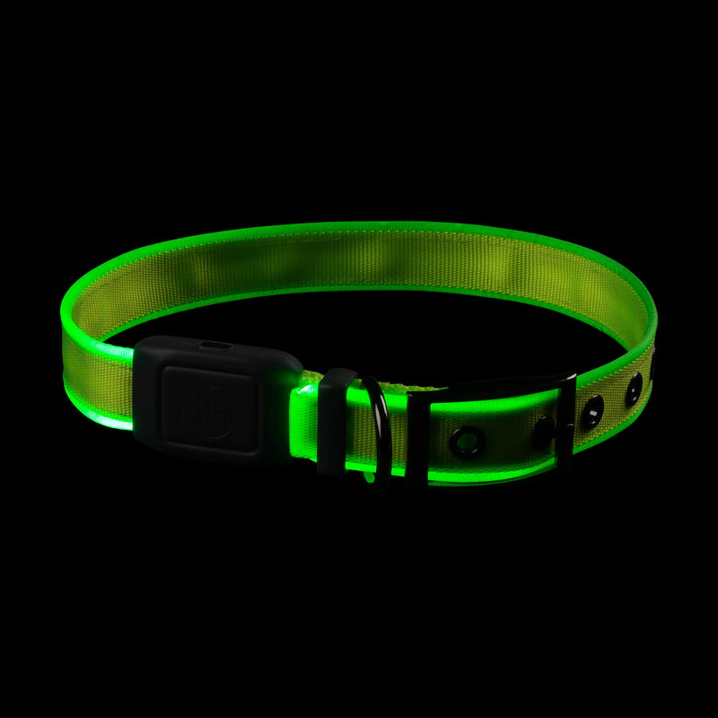 NiteDog Rechargeable LED Collar | Lime Green