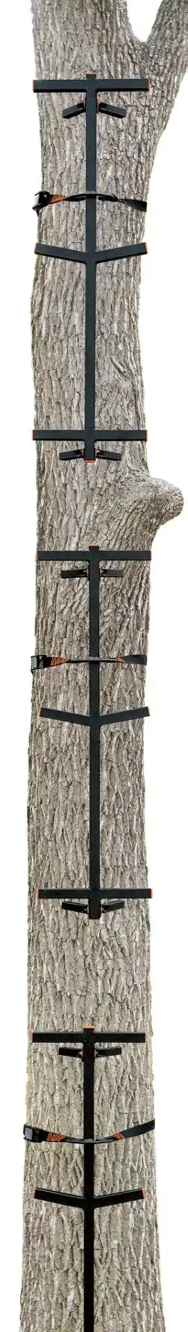 Ascend 3-Pack Steel Climbing Sticks