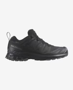 Black Salomon hiking shoe on a white background